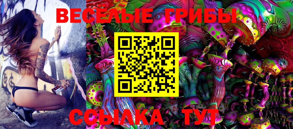 Псилоцибиновые грибы Psilocybe Находка