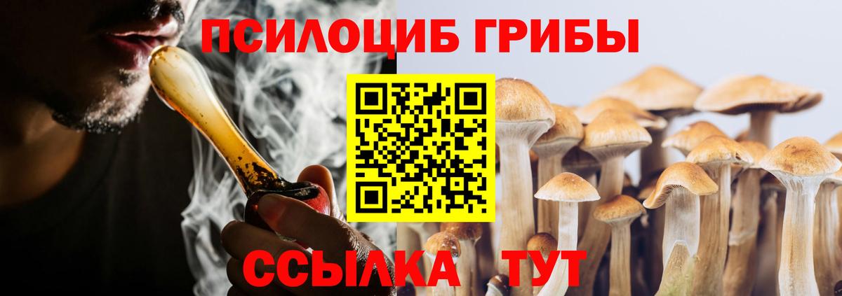 Находка  Псилоцибиновые грибы Magic Shrooms  Вход с VPN 